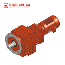 RF..R..斜齿轮减速电机